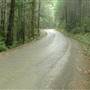 Horne Lake Forest Service Road