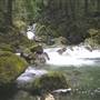 Nahmint Lake Campground