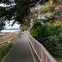 Comox Waterfront