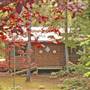 Lazo Road Cabin-style Workshop
