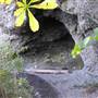 Sequoia Park Sea Caves