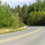 Quadra Roads