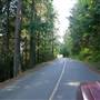 Denman Island (Denman Road)