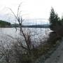 Greenstone Creek Main