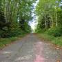 ERT Road