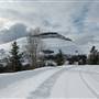 HEDLEY NICKEL PLATE ROAD ( Winter )