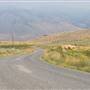 Tunkwa Lake Road - Savona to Tunkwa Lake Provincial Park