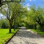 Jericho Garrison - Exterior Grounds