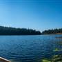Tulip Lake