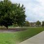 ROWCLIFFE PARK