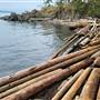 Nanoose - Dorcas Point