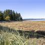 Mud Bay Tidal Flats