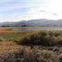 Kamloops Lake Bird Sanctuary