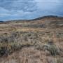 Skeetchestn Gravel Road North of Deadmans Creek Rodeo Grounds