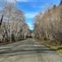Tahsis Highway