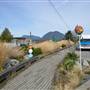 Downtown Tofino #4