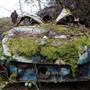 Castlegar Car Graveyard