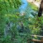 Nanaimo River Access