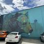 Kamloops Murals
