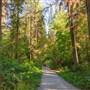 Stanley Park - Tatlow Walk