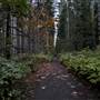 Beaver Lodge Lands (South Entrance)