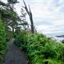 Wild Pacific Trail - Artists Loop