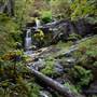 Cold Creek Waterfalls - from Log Train Trail Regional Park