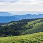 Sun Peaks Resort 220 Alpine Flowers, Backcountry & POVs SPRING