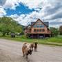 Chase Creek Eventing Equestrian Centre - Summer