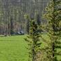 Scottie Creek Road and Burned Forest
