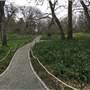 Playfair Park