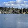 Langford Lake