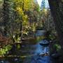TREPANIER CREEK