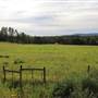 Sunshine Ranch