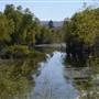 BOOT LAKE SWAMP