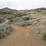 DIVIDEND MINE ACCESS PARK