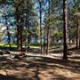 Monck Provincial Park on Nicola Lake