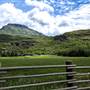 SALMON RIVER ROAD LANDSCAPE