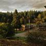 Timberline Ranch