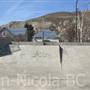 Brink Street Skate Park