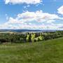 Dreamscape Ranch 05 B&B Acreage Grasslands