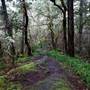 Gore Nature Park