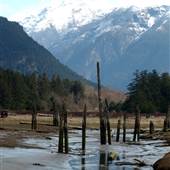 Bella Coola Tide Flats