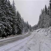 Salmon Arm Log Home 1
