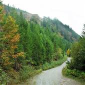 Timberwest Nanaimo Lakes Roads