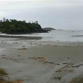 *Mackenzie Beach