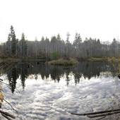 Willow Creek Conservation Area