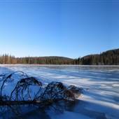 Sydney Lake and Snowmobile Corridor Trail WINTER