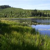 Bonaparte Plateau, Lake, Ponds & Trails