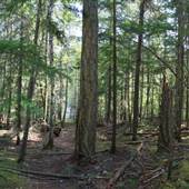 Clearwater River Kayak Trail
